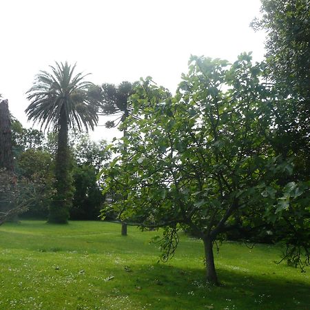 Las Carolinas Garden Santander Luaran gambar