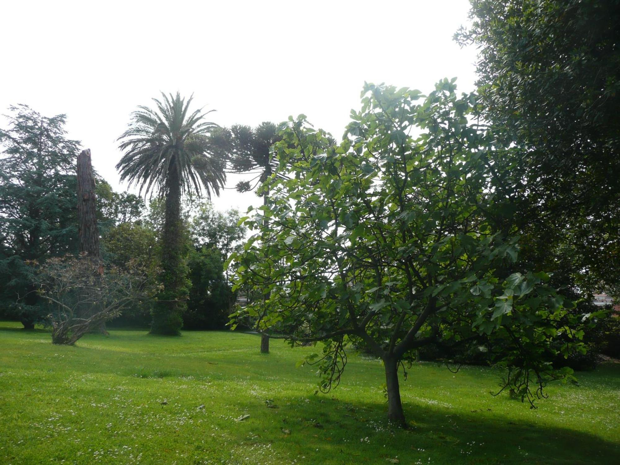 Las Carolinas Garden Santander Luaran gambar