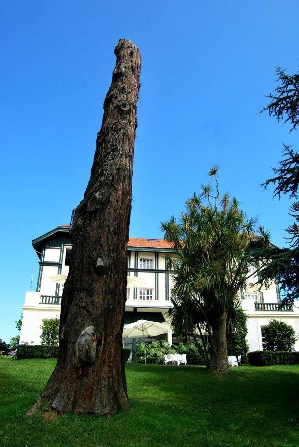 Las Carolinas Garden Santander Luaran gambar